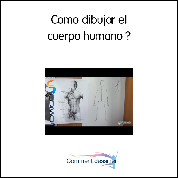 Como dibujar el cuerpo humano